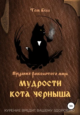 Том Белл Мудрости кота Черныша обложка книги