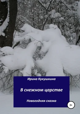 Ирина Кукушкина В снежном царстве обложка книги