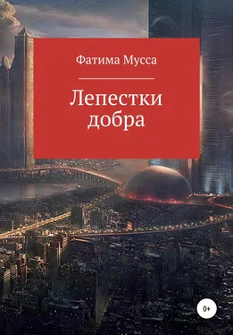 Фатима Мусса Лепестки добра обложка книги