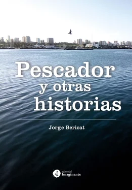 Jorge Bericat Pescador y otras historias обложка книги