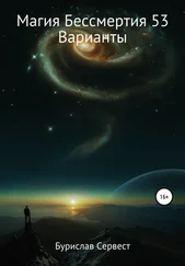 Бурислав Сервест - Магия Бессмертия 53. Варианты