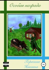 Никита Горячкин - Особая награда