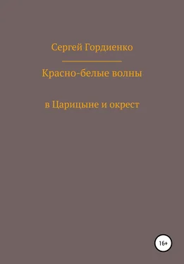 Сергей Гордиенко Красно-белые волны в Царицыне и окрест обложка книги