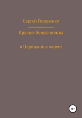 Сергей Гордиенко - Красно-белые волны в Царицыне и окрест