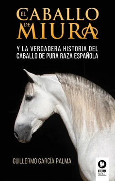 Guillermo García Palma El caballo de miura обложка книги