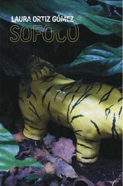 Laura Ortiz Gómez Sofoco обложка книги