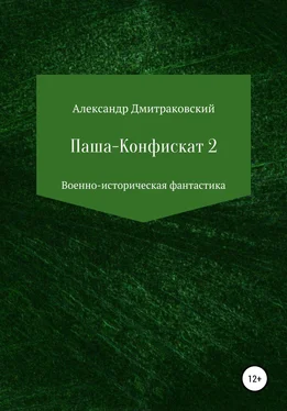 Александр Дмитраковский Паша-Конфискат 2 обложка книги