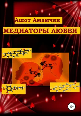 Ашот Амамчян Медиаторы любви обложка книги