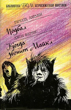 Ричард Лаймон Дом чудовищ (Подвал) обложка книги