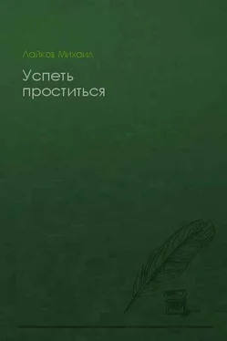 Михаил Лайков Успеть проститься обложка книги