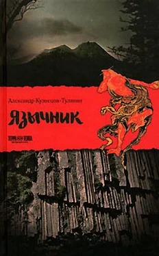 Александр Кузнецов-Тулянин Язычник обложка книги