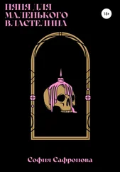 София Сафронова - Няня для маленького властелина