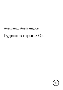 Александр Александров Гудвин в стране Оз обложка книги