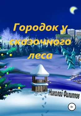 Николай Филиппов Городок у сказочного леса обложка книги
