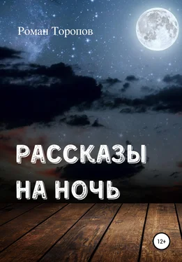 Роман Торопов Рассказы на ночь обложка книги
