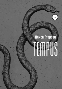 Алиса Атарова Tempus обложка книги