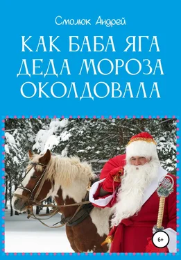 Андрей Смолюк Как Баба Яга Деда Мороза околдовала обложка книги