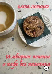 Елена Левченко - Имбирное печенье в кафе без названия