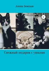 Алина Земская - Снежный подарок с ушками