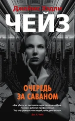 Джеймс Чейз - Очередь за саваном