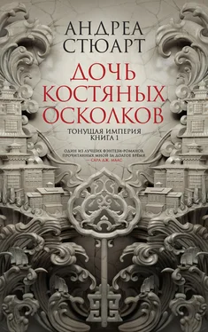 Андреа Стюарт Дочь костяных осколков обложка книги