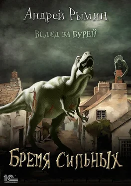 Андрей Рымин Вслед за Бурей. Бремя сильных обложка книги