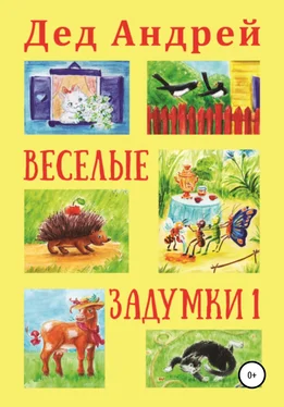 Андрей Колягин Весёлые задумки 1 обложка книги