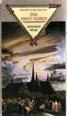 Джонатан Вайли Служители королевства Арк. Книга 1. Первозванный обложка книги