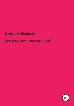 Дмитрий Шашков Неужели мало спасающихся? обложка книги