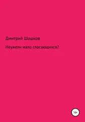 Дмитрий Шашков - Неужели мало спасающихся?