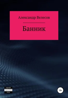 Александр Велесов Банник обложка книги