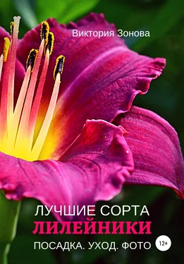 Виктория Зонова Лилейники. Лучшие сорта обложка книги