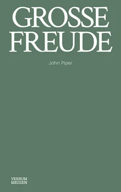 John Piper Große Freude обложка книги