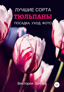 Виктория Зонова Тюльпаны. Лучшие сорта обложка книги