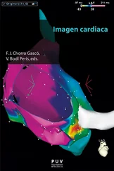 AAVV - Imagen cardiaca