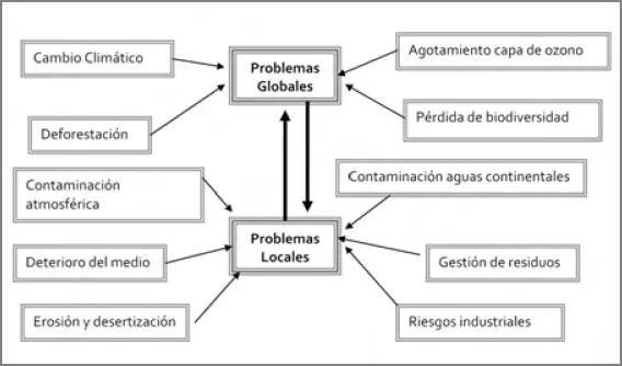 Sin embargo a pesar del avance que al respecto se ha conseguido tanto en la - фото 18