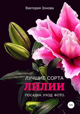 Виктория Зонова Лилии. Лучшие сорта обложка книги