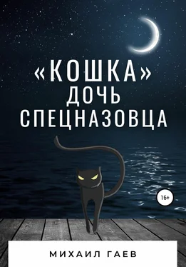 Михаил Гаев «Кошка» – дочь спецназовца обложка книги