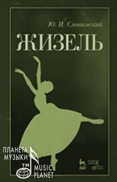 Юрий Слонимский Жизель обложка книги