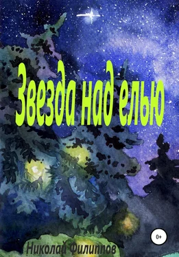 Николай Филиппов Звезда над елью обложка книги