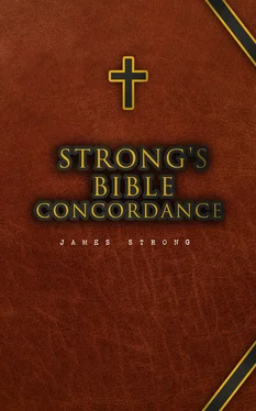 James Strong Strong's Bible Concordance обложка книги
