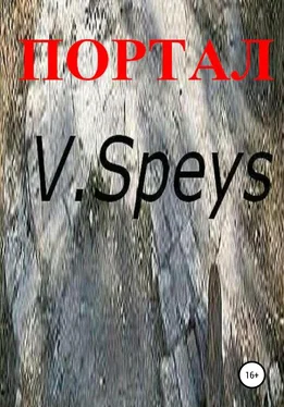 V. Speys Портал обложка книги