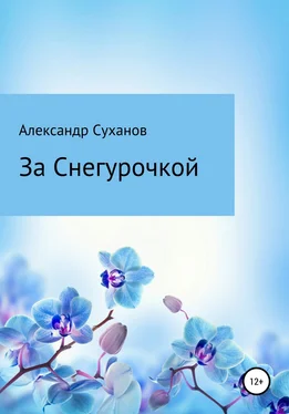 Александр Суханов За Снегурочкой обложка книги