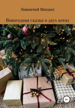 Михаил Ловничий Новогодняя сказка о двух котах обложка книги