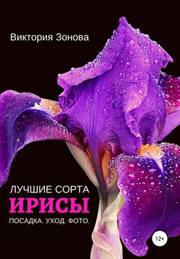 Виктория Зонова Ирисы. Лучшие сорта обложка книги