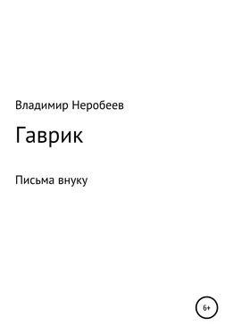 Владимир Неробеев Гаврик обложка книги