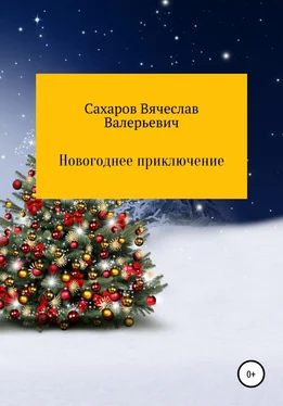 Вячеслав Сахаров Новогоднее приключение обложка книги