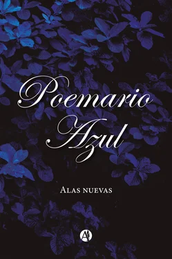 Alas nuevas Poemario Azul обложка книги