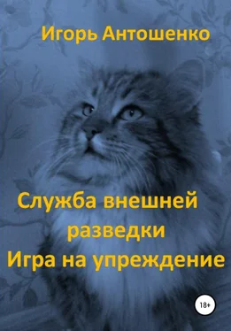 Игорь Антошенко Служба внешней разведки. Игра на упреждение обложка книги