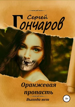 Сергей Гончаров Оранжевая пропасть обложка книги